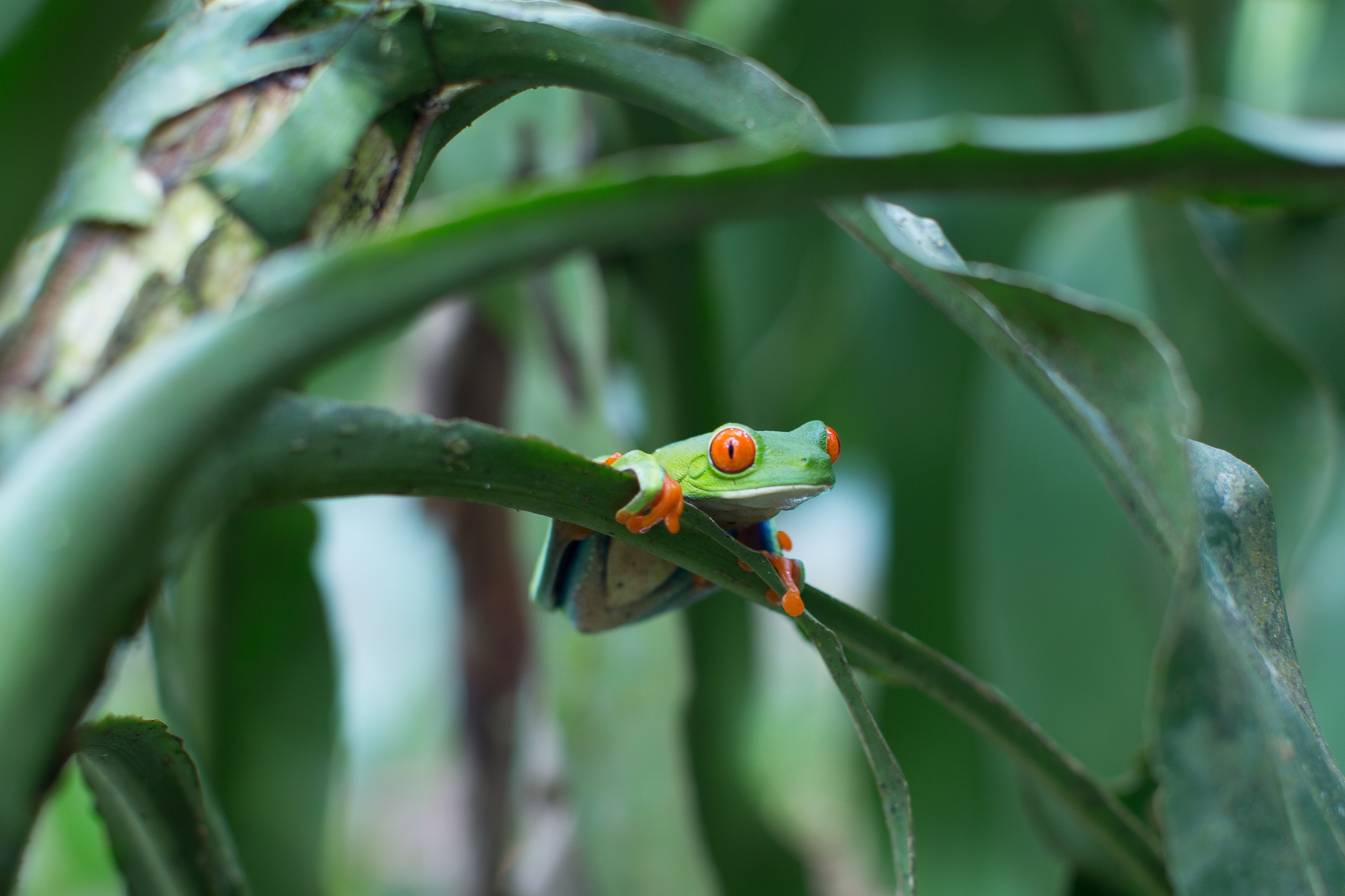 Nicaragua Sustainable Tourism