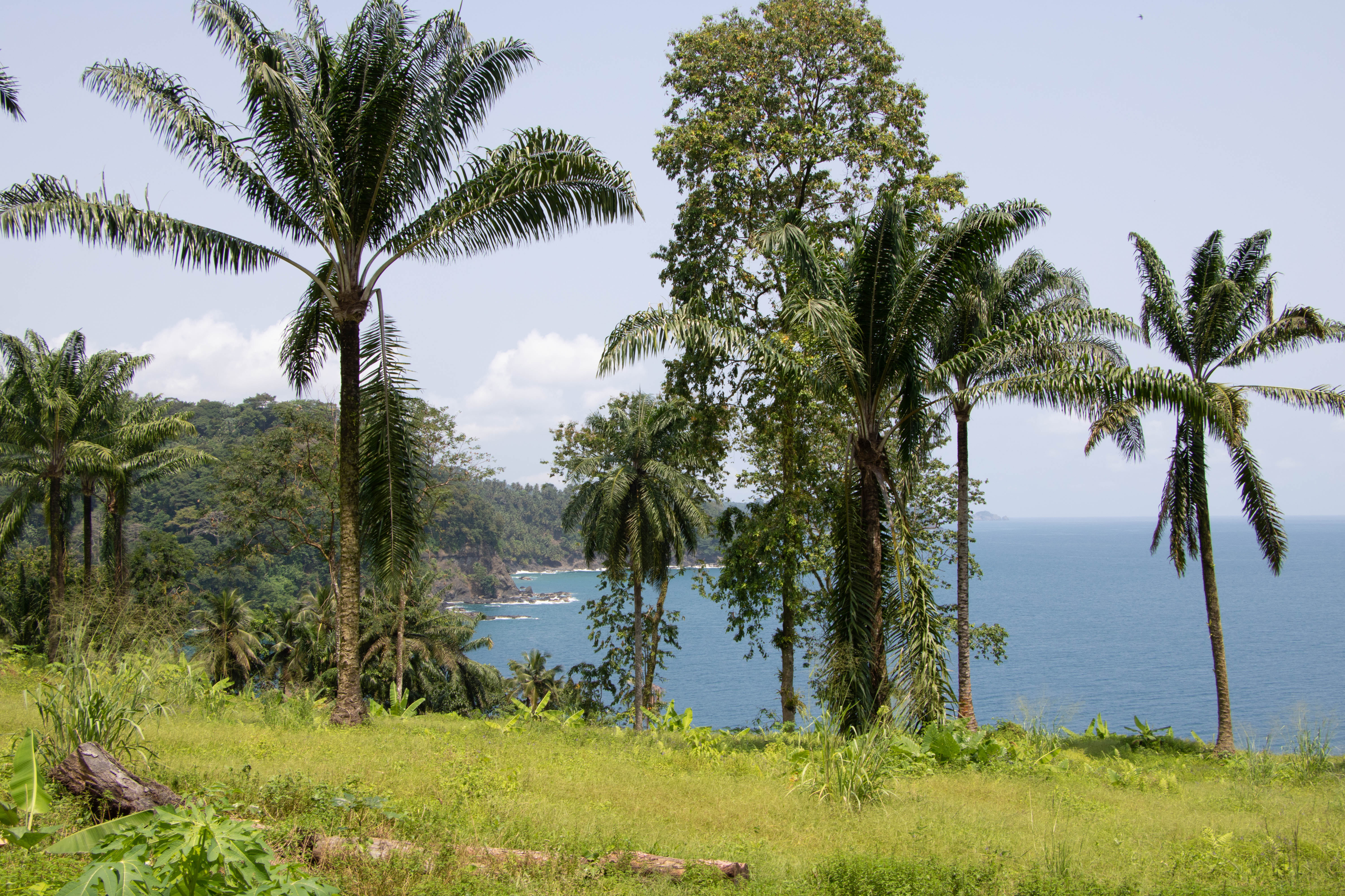 São Tomé travelrebel