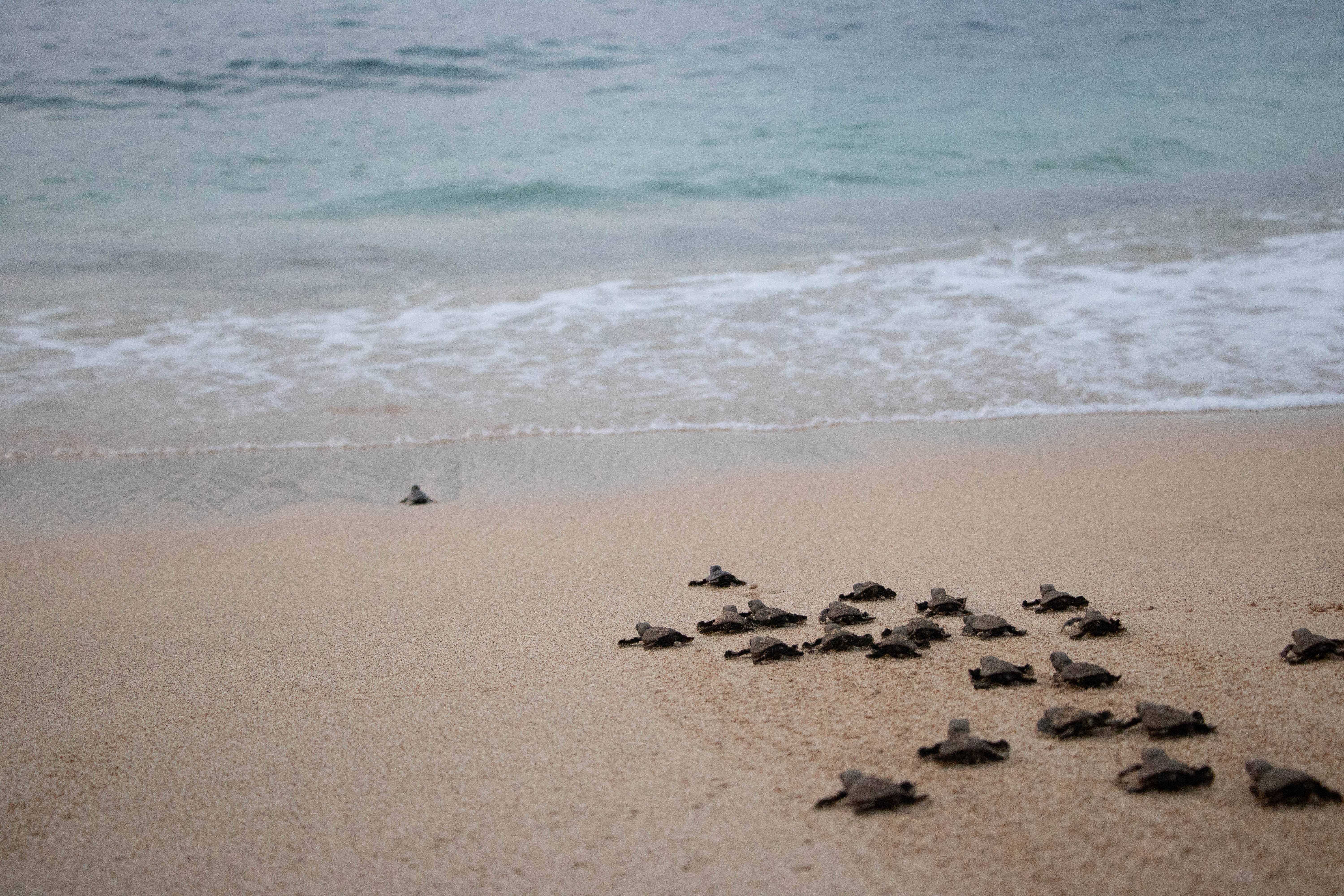 Sao Tome