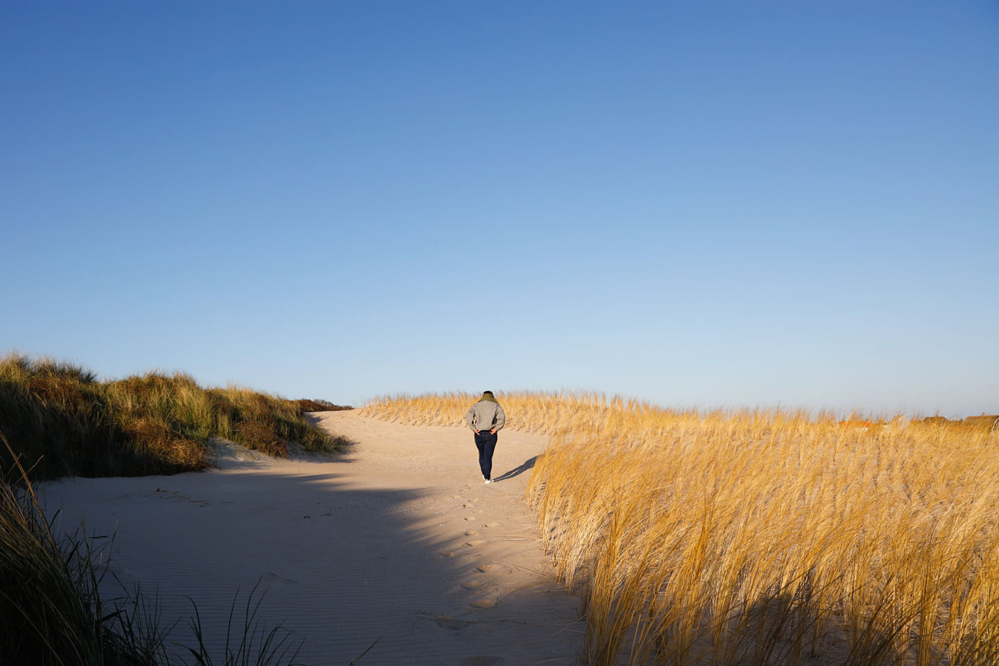 Vlieland - Nederland - Waddeneilanden