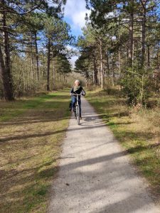 Entire islands (such as Vlieland) are almost completely car-free.
