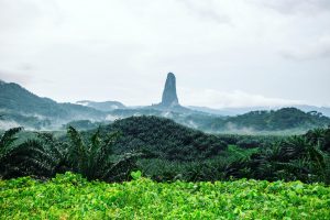 Famous Big Dog in São Tomé, Africa, Lonely Planet