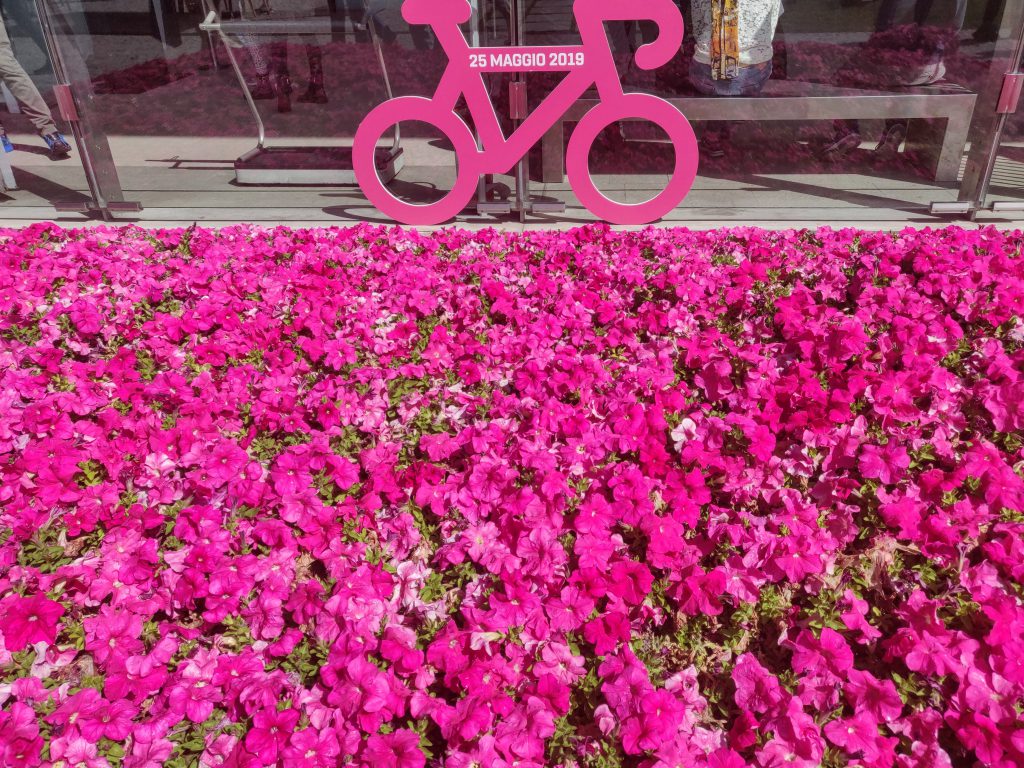 Val D'Aosta - Giro - Pink bicycle - bike pink flower - flower field and bike