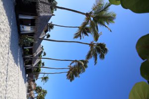 Wellness - Masssage op Aruba - duurzaam reizen - TravelRebel