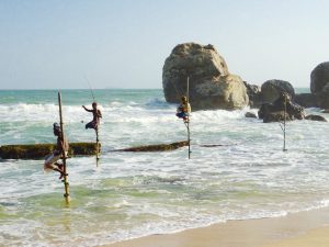 Stokvissers in Sri Lanka - duurzaam reizen - TravelRebel