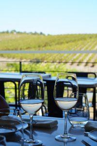 Wijnproeven in Portugal Alentejo - duurzaam reizen - lokale wijnen
