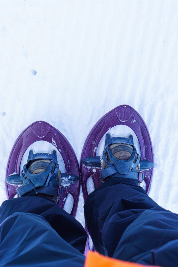 Sneeuwschoen wandelen in Les Arcs, Frankrijk