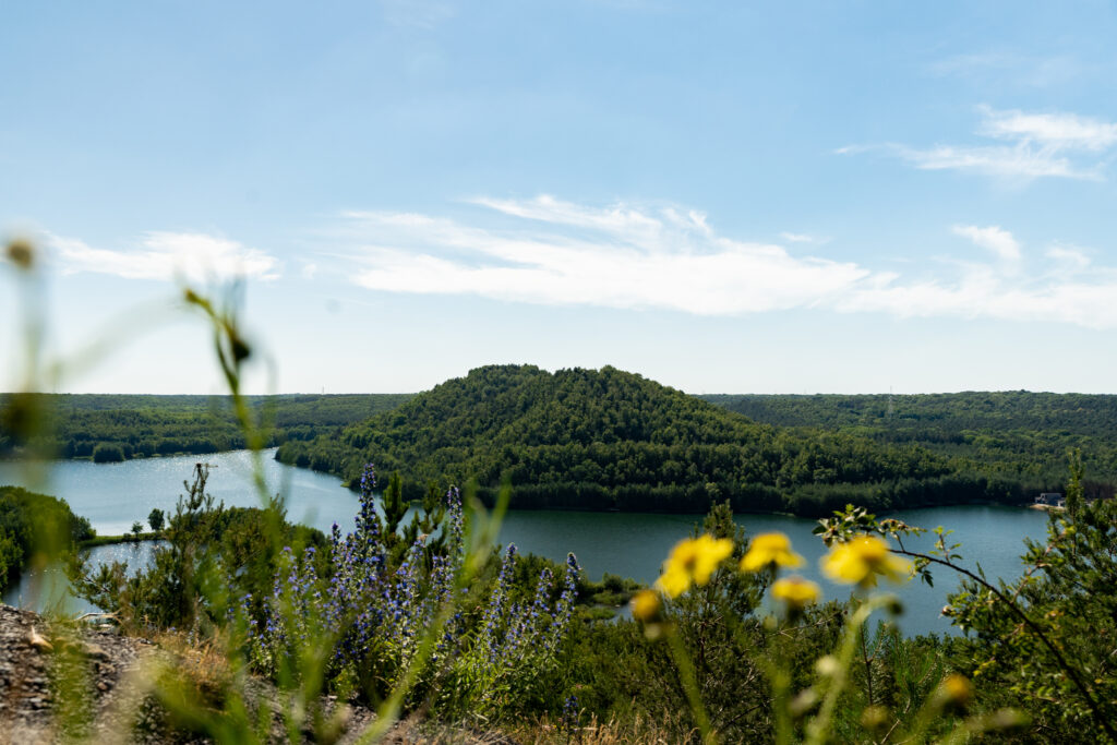 Hoge Kempen National Park