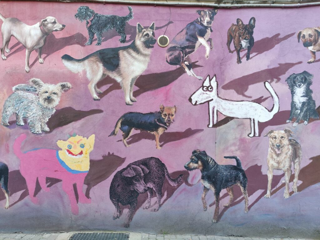 Street art in Wroclaw - Polen