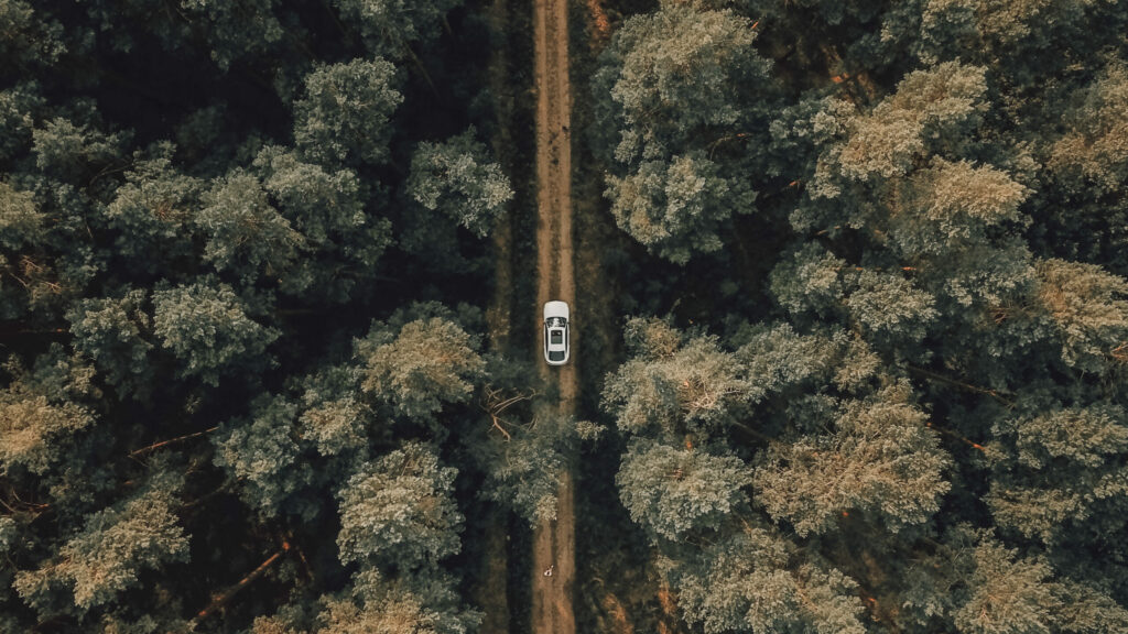 Car driving through the woods