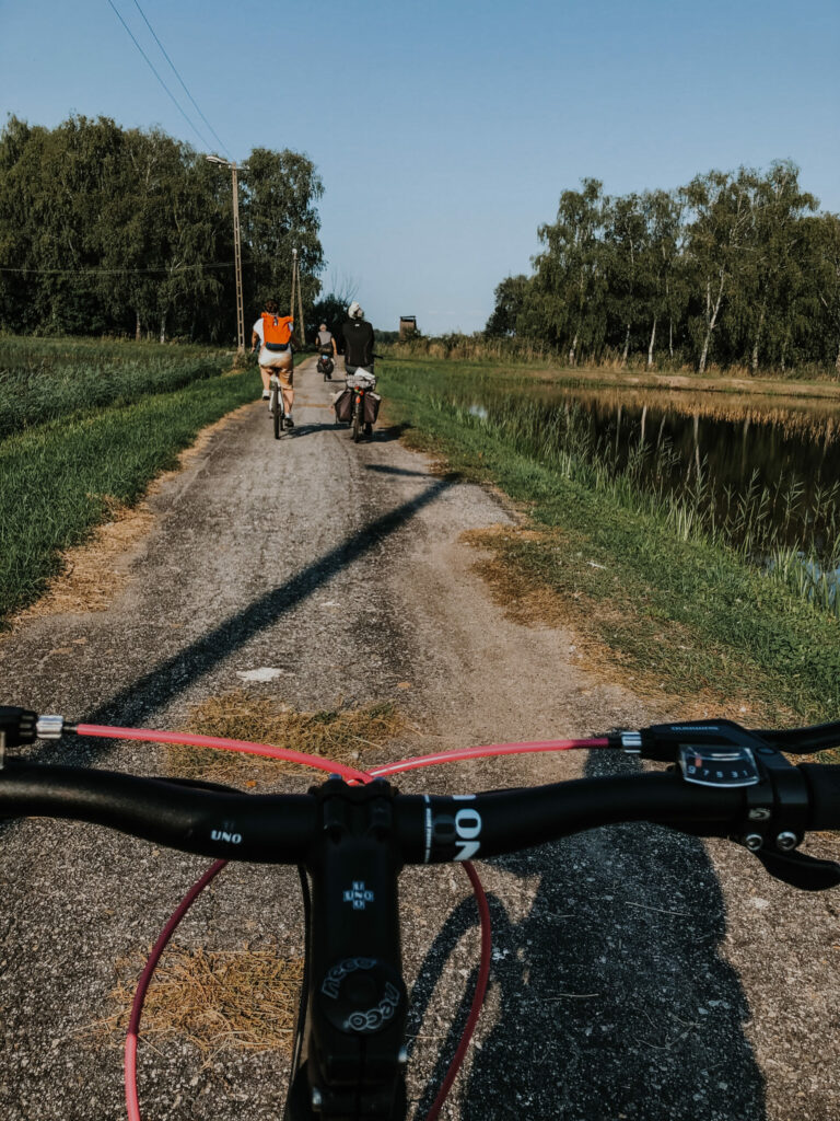 People biking through nature